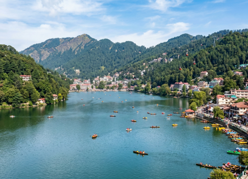 Gemini_Generated_Image_wo8eqpwo8eqpwo8e